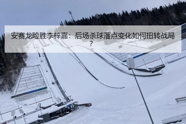 安赛龙险胜李梓嘉：后场杀球落点变化如何扭转战局？